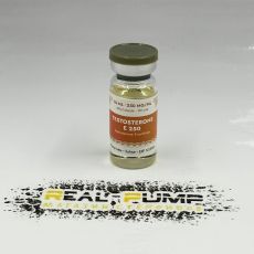 Testosteron E300