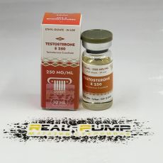 Testosteron E300
