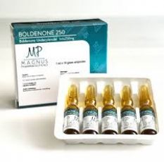 Boldenone (Magnus)