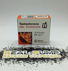 Testosterone Mix (Watson new)