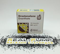 Drostanolone Enanthate (Watson new)