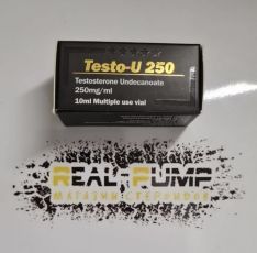 Testo U (Vertex)