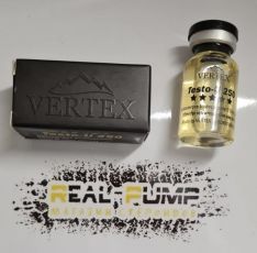 Testo U (Vertex)