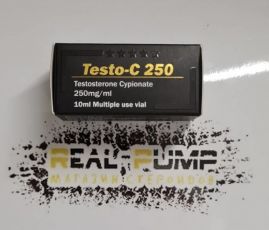Testo C (Vertex)