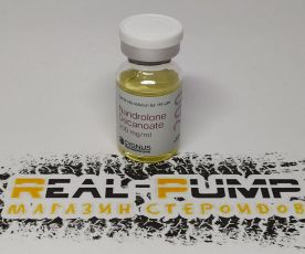Nandrolone Decanoate (Cygnus)