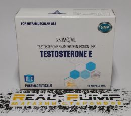 Testosterone E (ICE)
