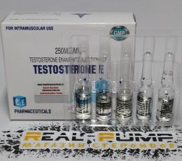 Testosterone E (ICE)