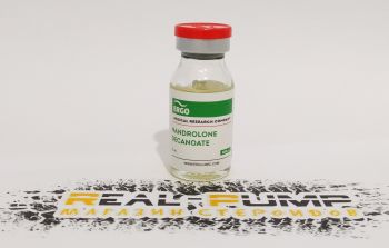 Nandrolone Decanoate Ergo