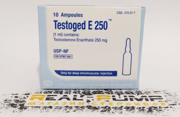 Testoged E 1ml