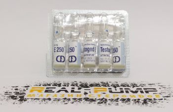 Testoged E 1ml
