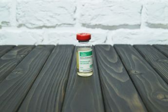 Nandrolone Decanoate Ergo
