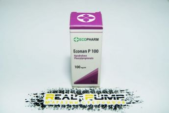 EcoNan P100