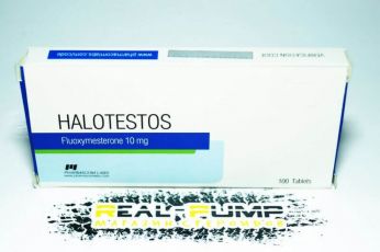 Halotestos