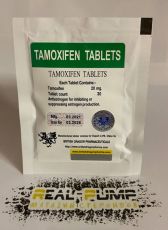 Tamoxifen tablets (British Dragon)