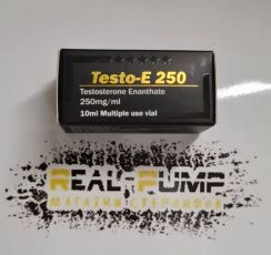 Testo E (Vertex)