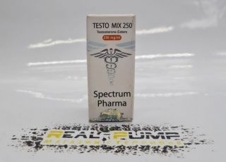 Testo Mix
