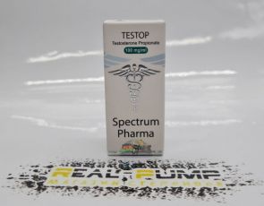 Testo P
