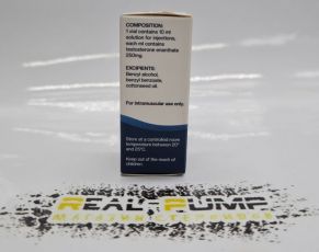 Testosterone E (HZPH)