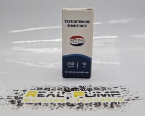 Testosterone E (HZPH)