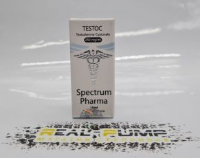 Testo C (Spectrum)