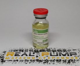 Nandrolone Phenil (Ergo)