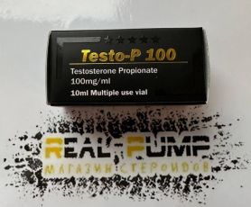 Testo P (Vertex)