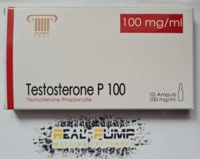 Testosterone P100 (Olymp)