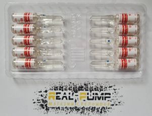 Testosterone P100 (Olymp)