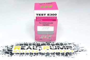 Test E300 (Norman)