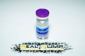 Testosterona E 10ml