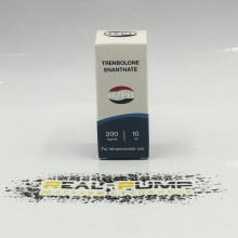 Trenbolone E (HZPH)