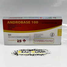 Androbase (Canada)