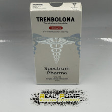 Tren A (Spectrum)