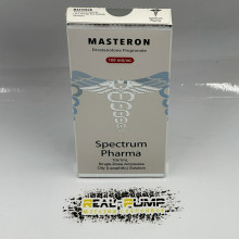 Mast P (Spectrum)