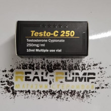 Testo C (Vertex)