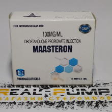 Maasteron (ICE)