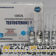 Testosterone P (ICE)