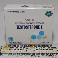 Testosterone E (ICE)