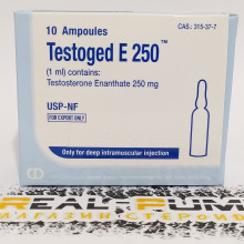 Testoged E 1ml (GD)