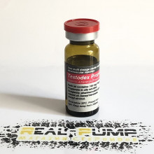 Testodex Propionate (Sciroxx)