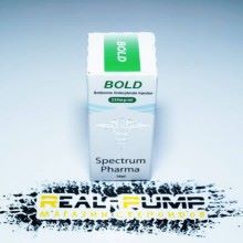 Bold (Spectrum)