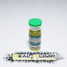 Enanthate FORTE (SP Labs)