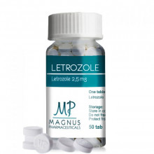 Letrozole (Magnus) 2023 просрок