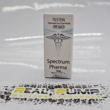 Testo E (Spectrum)