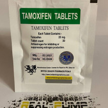 Tamoxifen tablets (British Dragon)