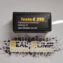 Testo E (Vertex)