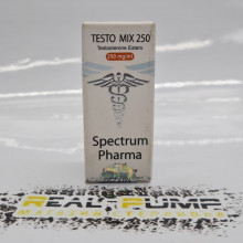 Testo Mix (Spectrum)