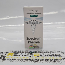 Testo P (Spectrum)