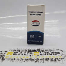 Testosterone E (HZPH)