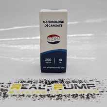 Nandrolone D (HZPH)